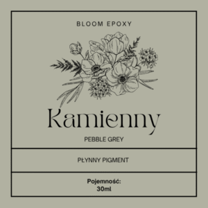 Kamienny