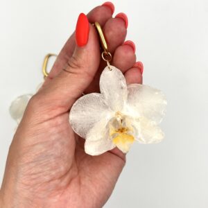 Kolczyki z Prawdziwymi Białymi Orchideami