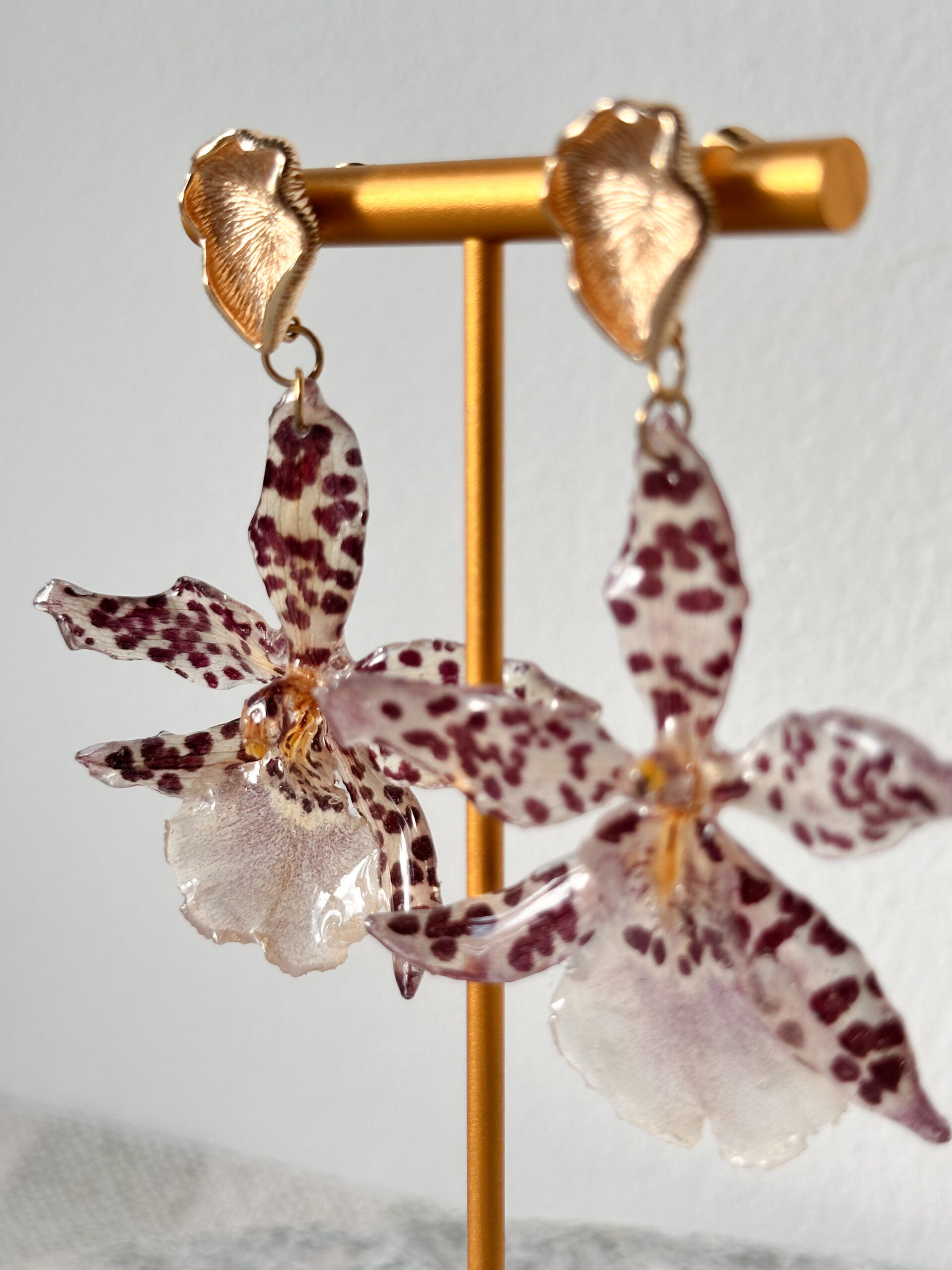 Kolczyki z prawdziwej orchidei – kremowe z bordowymi kropkami - obrazek 4