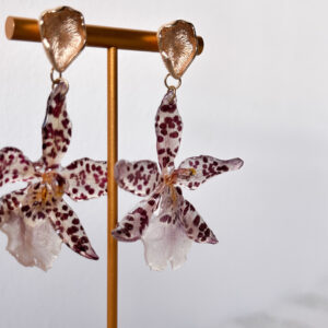 Kolczyki z prawdziwej orchidei – kremowe z bordowymi kropkami