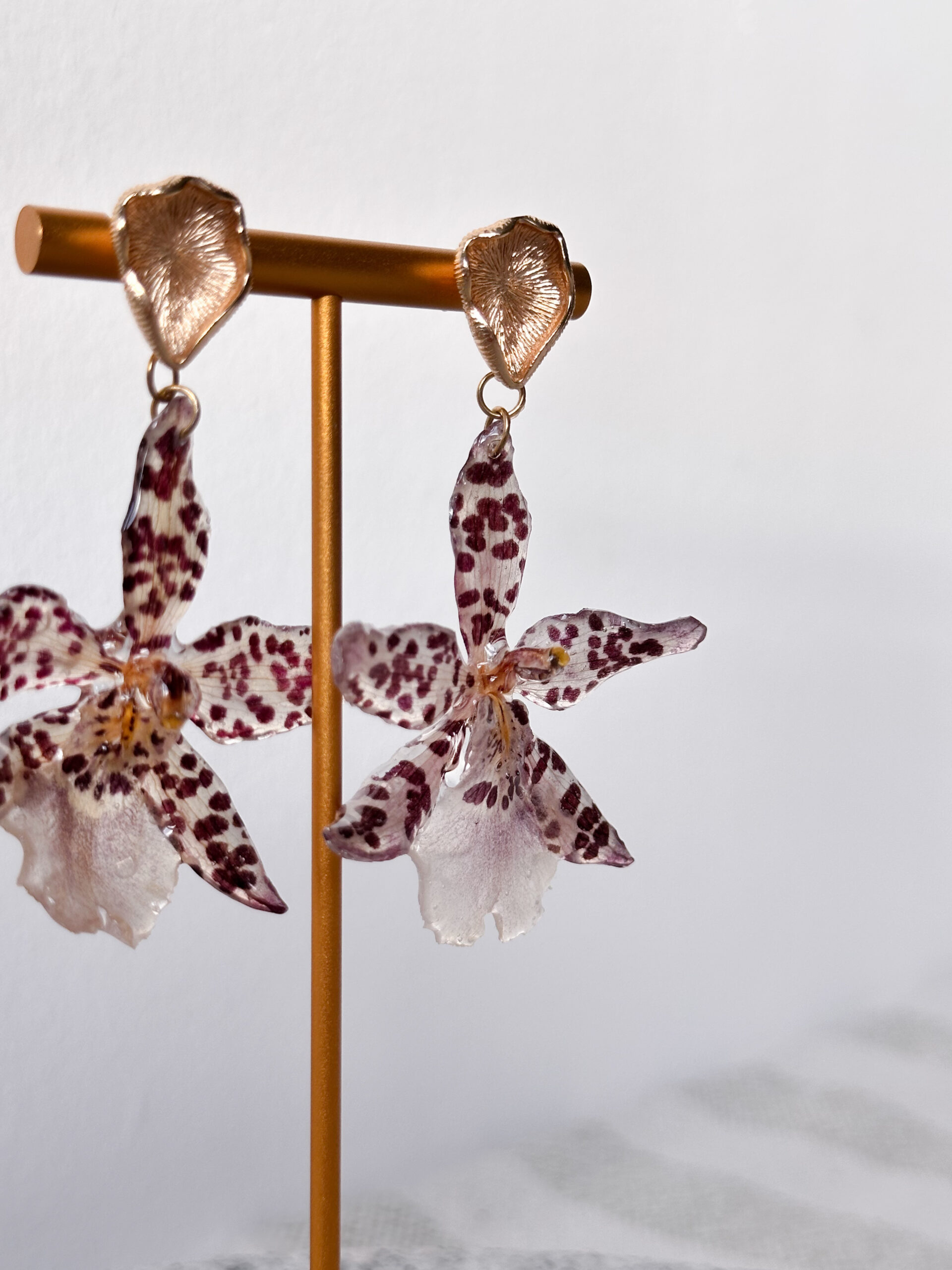 Kolczyki z prawdziwej orchidei – kremowe z bordowymi kropkami - obrazek 2