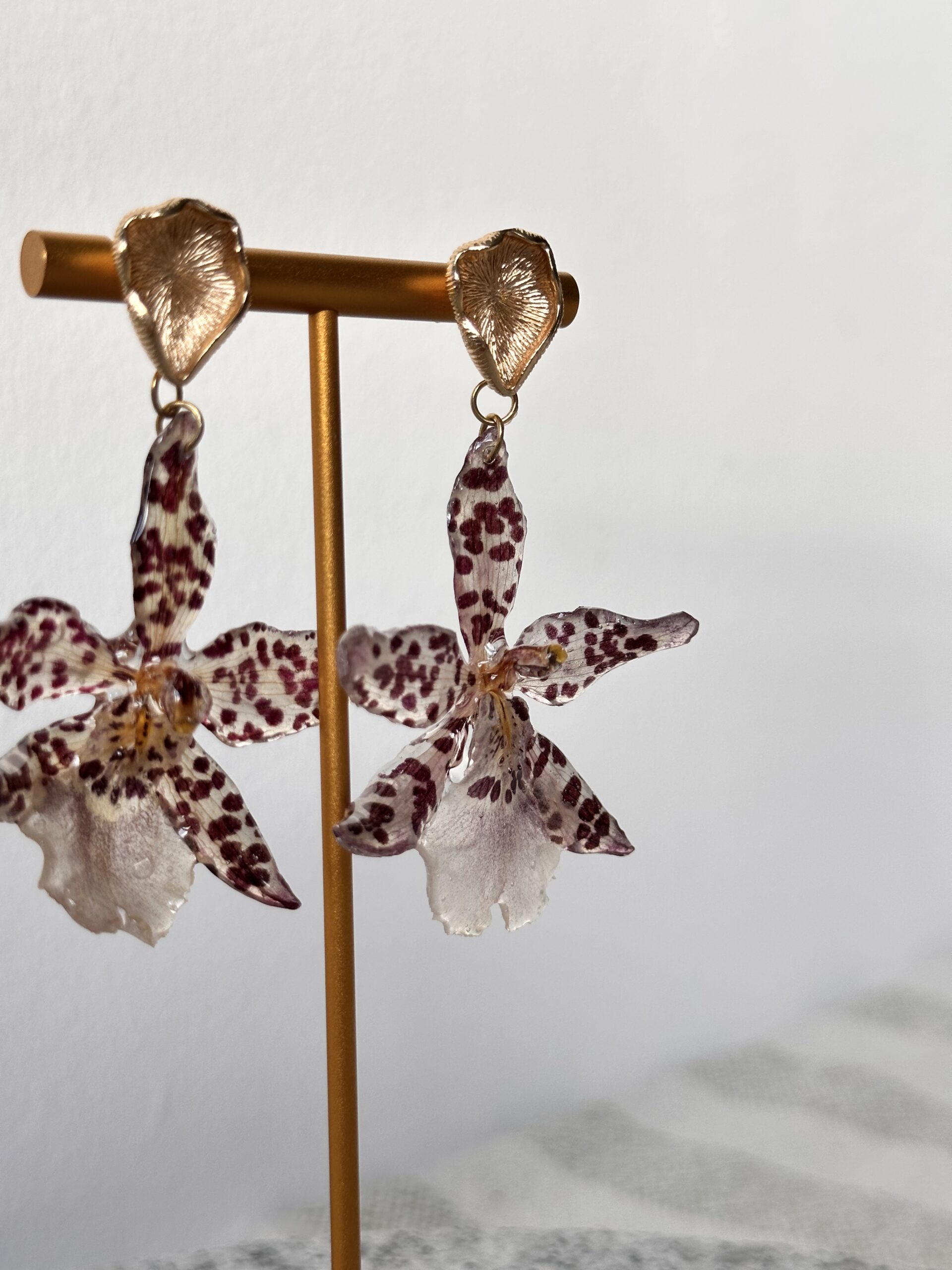 Kolczyki z prawdziwej orchidei – kremowe z bordowymi kropkami - obrazek 5